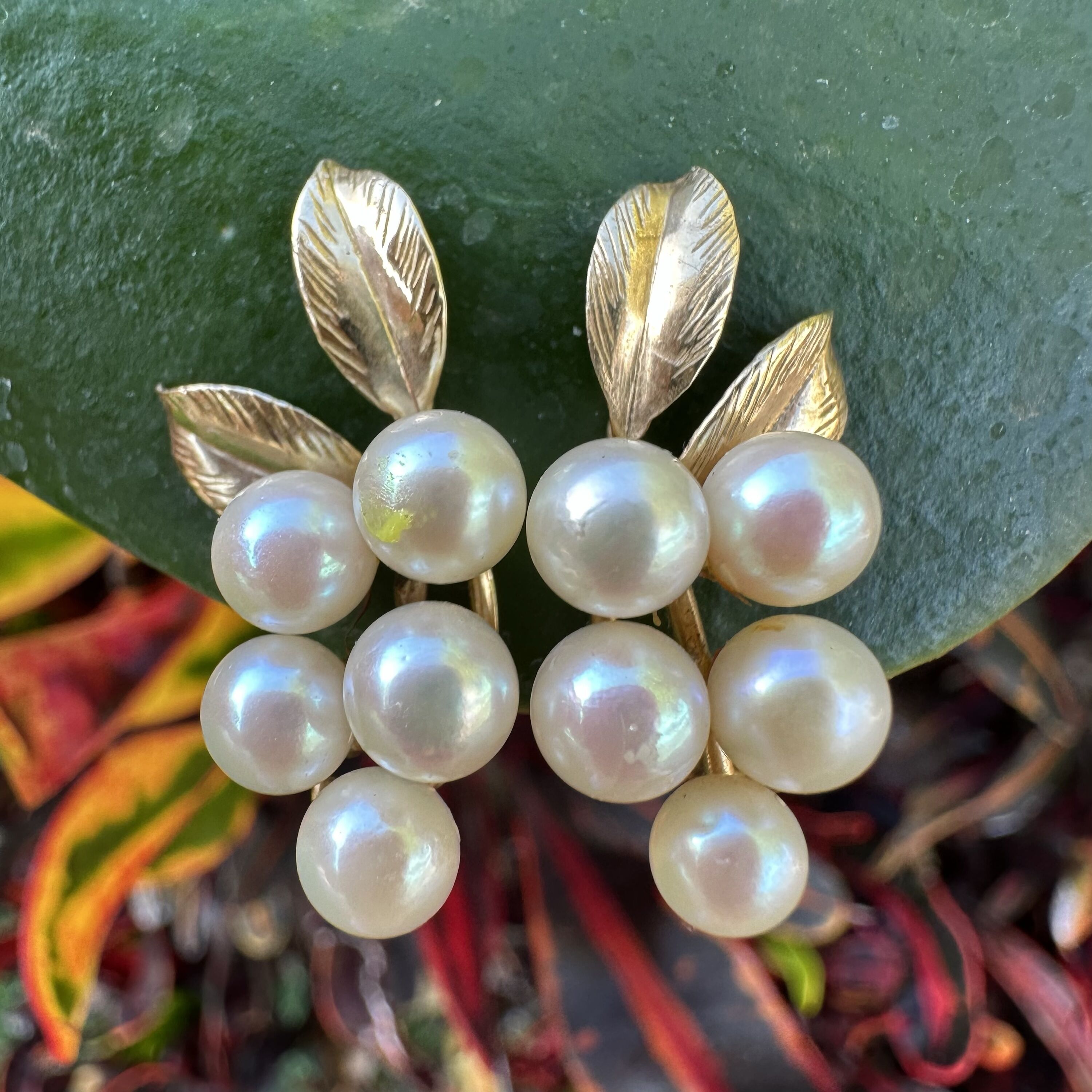 Vintage 14K Yellow Gold Ming’s Pearl Cluster Earrings – Delicate Leaf Design, Estate Jewelry